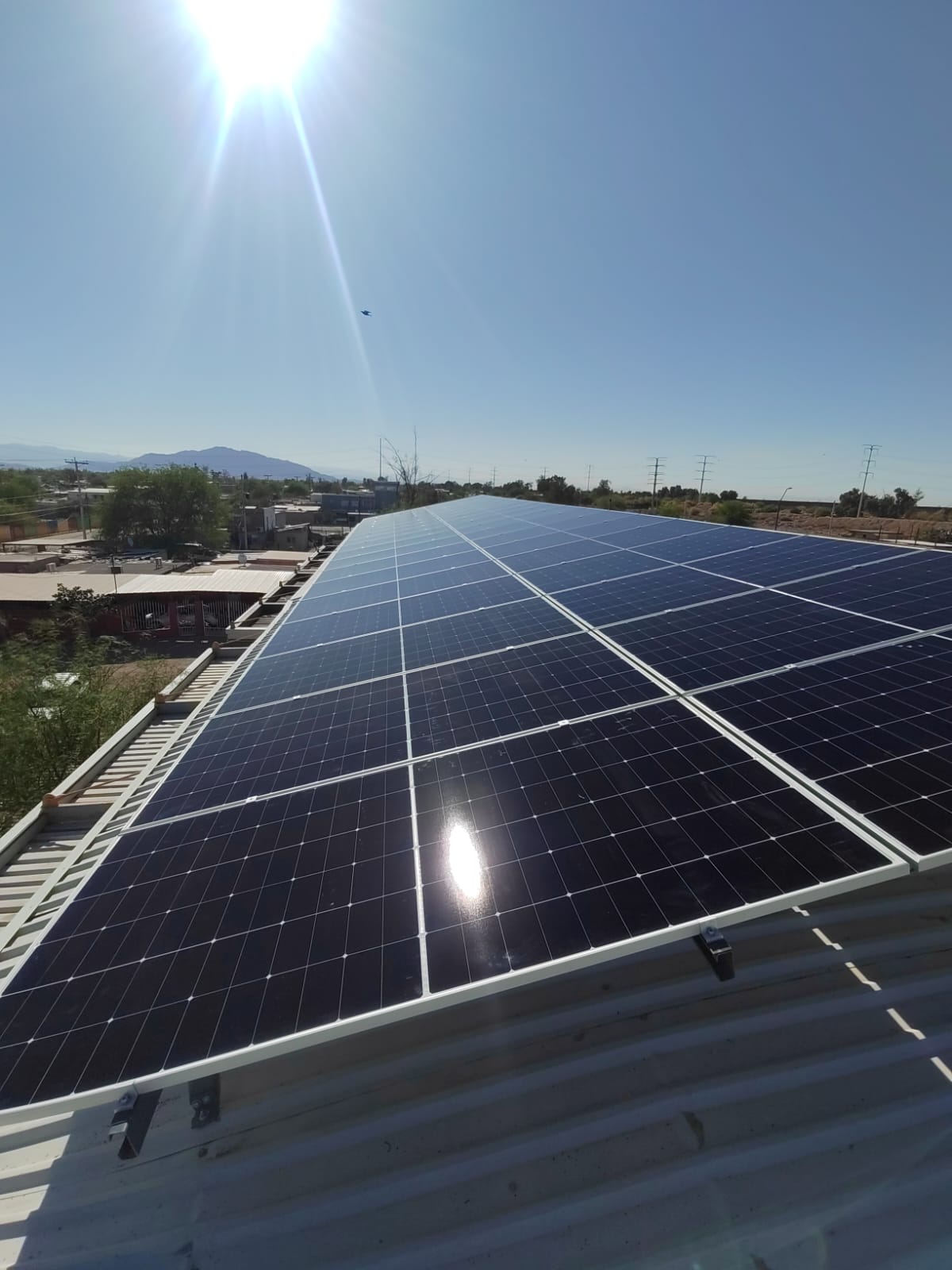 Paneles solares